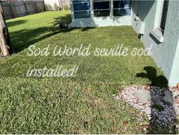 Maybe you would like to learn more about one of these? Sod World Llc Bradenton Sarasota Home Facebook