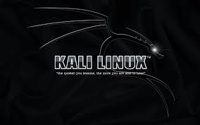 Kali linux hd wallpaper posted in mixed wallpapers category and wallpaper original resolution is 1920x1080 px. Kali Linux Operating System Wallpaper Brands And Logos Wallpaper Better