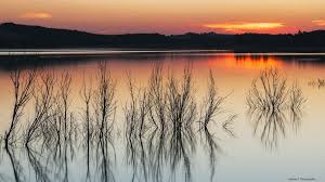 Au départ de la petite base nautique de la ganguise, un itinéraire essentiellement sur chemins de terre et petites routes goudronnées. Lac De La Ganguise Grand Lac Public Aude 11 Colinmaire Net