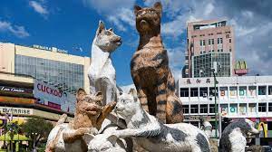 Radio sarawak with serangkap wisdom says that the air resounded through radio broadcasts on june 7, 1954, began the moment the history of broadcasting. The Asian City Obsessed With Cats Bbc Travel