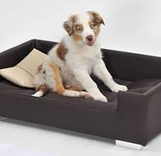 Sofas Und Betten Fur Hunde