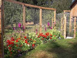 We did not find results for: Tina S Terrific Trellis Fence Flea Market Gardening