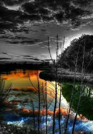 Beautiful Black And White Pictures Of Nature Pin By G S On 2 Touch Of Color Color Splash Photo Splash Photography Color Splash Photography