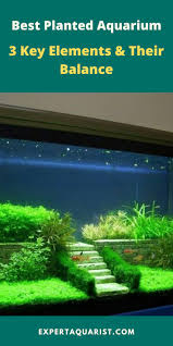 Balancing 3 Key Elements To Achieve The Best Planted Tank In 2020 Planted Aquarium Natural Ecosystem Aquatic Plants