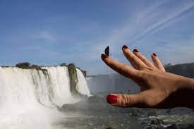 A cataract is a cloudy area in the lens of the eye that leads to a decrease in vision. Die Cataratas Del Iguazu Unsere Reise In Den Norden Argentiniens Teil 2