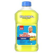 And then you need chlorine, probably lots of it to get it clean; Mr Clean Antibacterial Cleaner With Summer Citrus