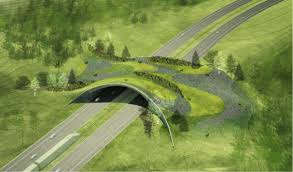 Wildlife Corridors Highways Built For Paws And Hooves Urban Landscape Landscape Landscape Design