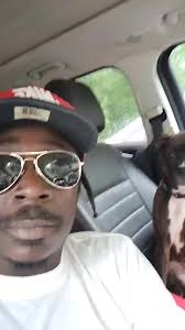 Pretty little boxer girl in the OH MY BOXER group