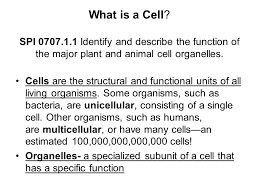 Maybe you would like to learn more about one of these? Cell Organelles And Structures Notes What Is A Cell Spi Identify And Describe The Function Of The Major Plant And Animal Cell Organelles Cells Ppt Download