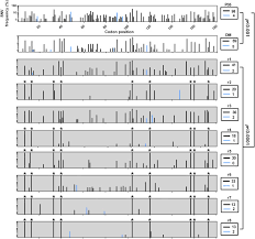 Tracking Hcv Protease Population Diversity During