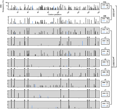 tracking hcv protease population diversity during