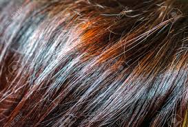 It's normal to worry that a new hue may not work for you but don't let that keep your current hair color can also play into your decision to dye. Dark Brown Burgundy Red Hair With Long Waves And Gradient Effect In Sunlight Straight Hair Fragment As A Texture Long Hair As Natural Background Stock Photo Picture And Royalty Free Image Image