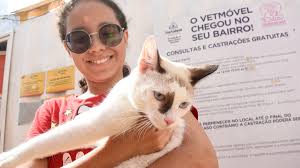 2° Mutirão gratuito de castração de felinos ocorrerá neste sábado, 7