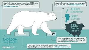 Via Bbcearth A Polar Bear May Have A Home Range Of Up To 350 000 Km2 Polarbeartakeover Pic Twitter Com 1bb1ehmtle Polar Bear Bear Tracks Polar