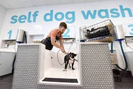 Your canine friend can run off leash and play with other dogs on. Petsmart Opens The First Petsmart Pet Spa Store An Innovative Retail Concept Focusing On The Pet Lifestyle Experience Business Wire