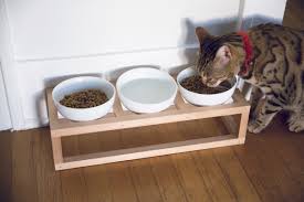 Stands raise bowls to help your cat eat without straining her neck or causing digestion trouble. How To Make A Diy Pet Bowl Stand Cat Dog Bowl Stand Diy