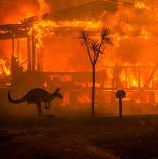 We did not find results for: Apocalyptic Scenes In Australia As Fires Turn Skies Blood Red The New York Times
