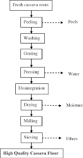 Figure 1 From Flour From Three Local Varieties Of Cassava