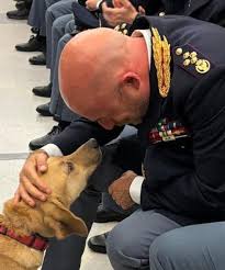 Quest'estate avevano tratto in salvo... - Questura di Roma | Facebook