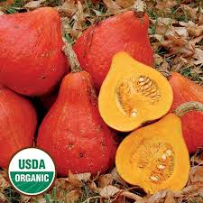 Potimarron Squash Squash Seeds Squash Varieties Unique Vegetables