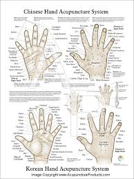 Acupuncture Meridian Points And Pathways Poster