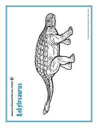 Displaying 67 realistic printable coloring pages for kids and teachers to color online or download. 12 Free Dinosaur Coloring Pages Of Real Dinosaurs By Cool Teaching Stuff