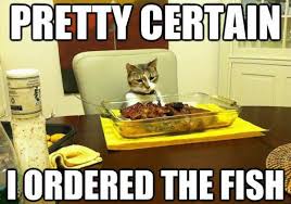 The cat always a funny animal on this earth. Funny Cat Pictures Captions Why Do Meaningful Captions On Cat Pictures Make A Huge Difference