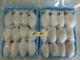 We would like to update the community on this issue which we are currently investigating. Cuttlefish Id 11161068 Buy Pakistan Frozen Cuttlefish Ec21
