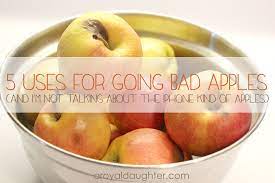 5 Uses For Going Bad Apples A Royal Daughter Bad Apple Recipes Using Fruit Apple Recipes