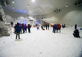 Check spelling or type a new query. Snow City August 2021 Timings Tickets Reviews Tips Contact Number Explorebees
