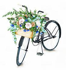 Maybe you would like to learn more about one of these? Watercolor Bicycle Flowers Basket Summer Illustration White Background Design Prints Background Bicycle Painting Bicycle Art Watercolor Images
