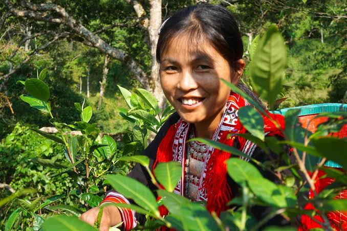 Suoi Giang: Travel, Map, Photo, Tours Mu Cang Chai Yen Bai