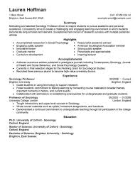 Best Professor Resume Example Livecareer