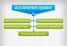Sales Department Hierarchy Hierarchystructure Com