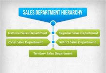 sales department hierarchy hierarchystructure com