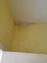 Look at the ceiling, look under sinks, look behind and beneath appliances, examine carpeting. How Do I Know If I Have Mold In My Home New Life Restoration