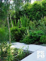 Pepo Botanic Design Little Street Garden Garden Help Australian Native Garden Coastal Gardens