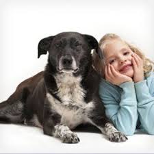 8 Best Pets For Kids What Type Of Pet Is Best For You Best Pets For Kids Animals For Kids Pets