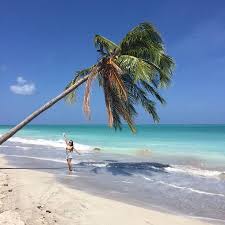 Vitorino gabriel pacheco antunes is a portuguese professional footballer who plays as a left back for sporting cp. Praia De Antunes Picture Of Green Mar Tur Maragogi Tripadvisor