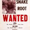 Moist, low ground, roadsides, sandy soils (fna 2006). Https Encrypted Tbn0 Gstatic Com Images Q Tbn And9gcri18k8cyuhtblbkm Xdeiftild 7ol2wtxiprae2yfxaycj01j Usqp Cau