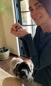 My Animal Connection