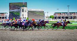 2014 kentucky derby wikipedia