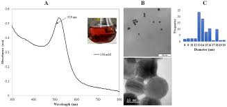 Gold nps have advantageous properties such as chem. Plos One Dnak Protein Alleviates Toxicity Induced By Citrate Coated Gold Nanoparticles In Escherichia Coli