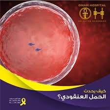 كيف يحدث الحمل العنقودي والحمل العنقودي نوعان إما حمل عنقودي كامل أو حمل عنقودي جزئي تحدث حالات الحمل العنقودي بسبب خلل في المواد الوراثية الكروموسوم hospital