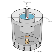 Pin On Science Friday