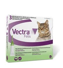Vectra Felis Fur Katzen Das Spot On Gegen Flohe