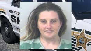 Car with towel-covered license plate helps lead to couple suspected in mail  thefts