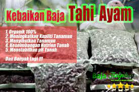Proses penguraian baja tahi kambingподробнее. Pembekal Baja Taiping Baja Tahi Ayam