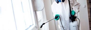 Our effective, friendly service is what keeps them calling us back. The 10 Best Bed Bug Exterminators In Bronx With Free Estimates