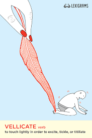 Vellicate Verb To Touch Lightly In Order To Excite Tickle Or Titillate Unusual Words Uncommon Words